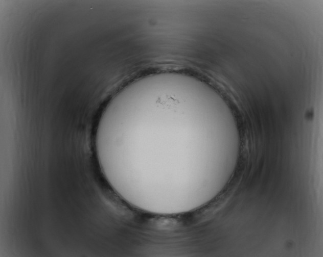 X0000102470512200808081012