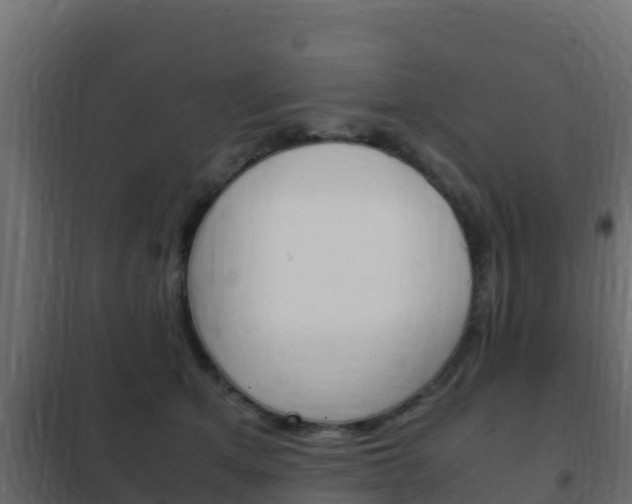 X0000102470513200808081012
