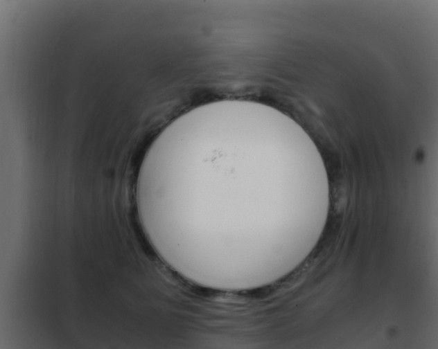 X0000102470515200808081012