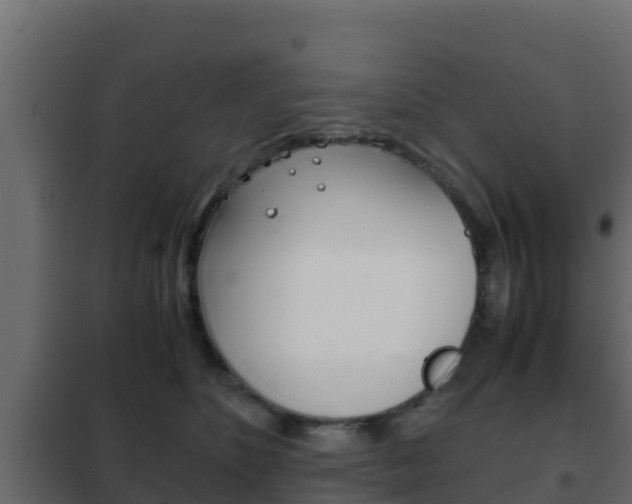 X0000102470516200808081012