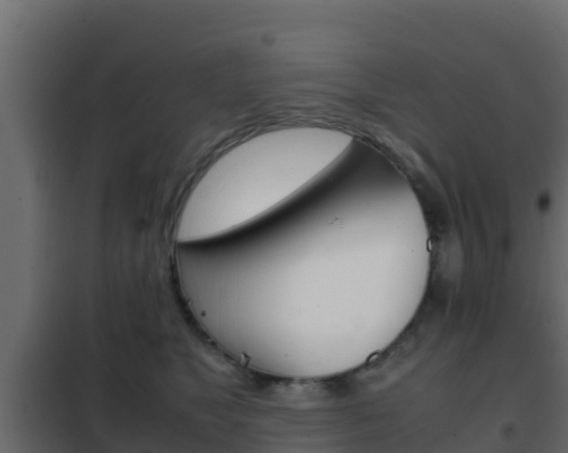 X0000102470517200808081012