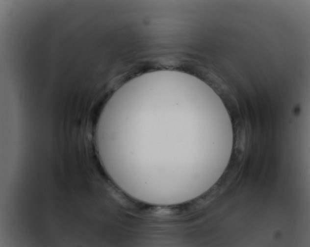 X0000102470518200808081012