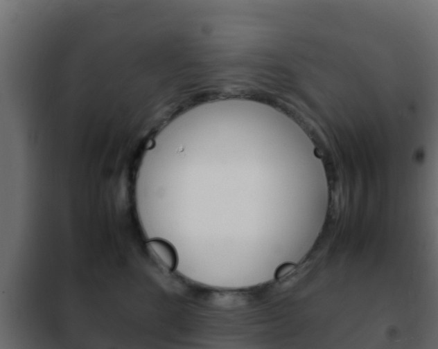 X0000102470520200808081012
