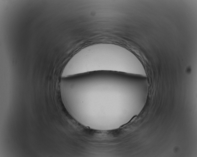 X0000102470521200808081012