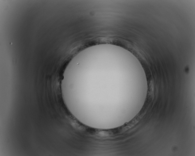 X0000102470522200808081012