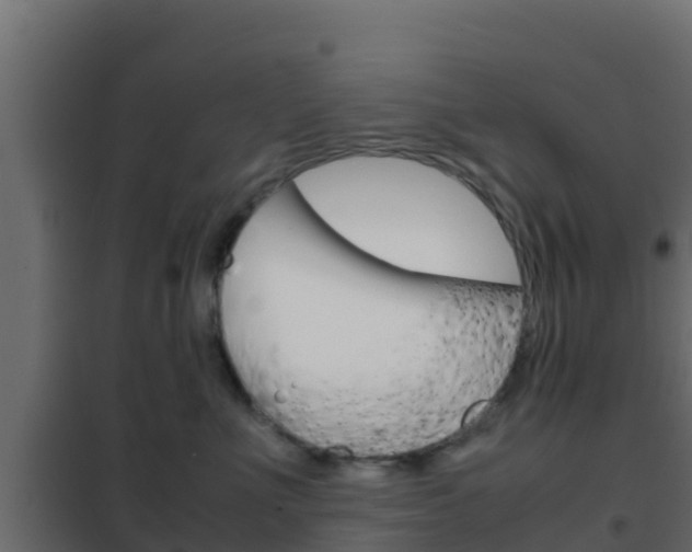 X0000102470523200808081012