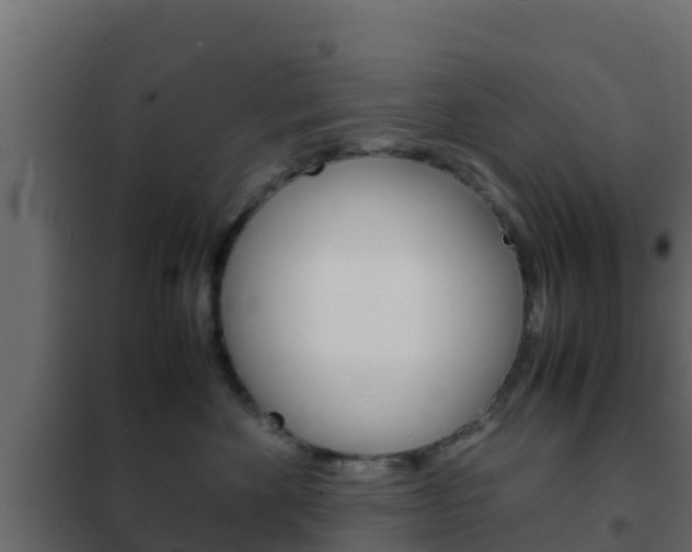 X0000102470524200808081012