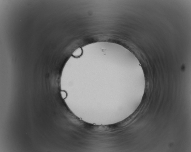 X0000102470525200808081012