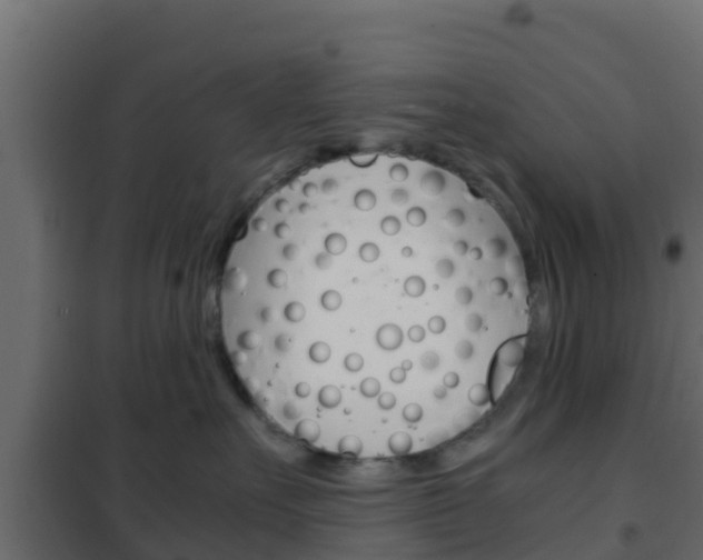 X0000102470527200808081012