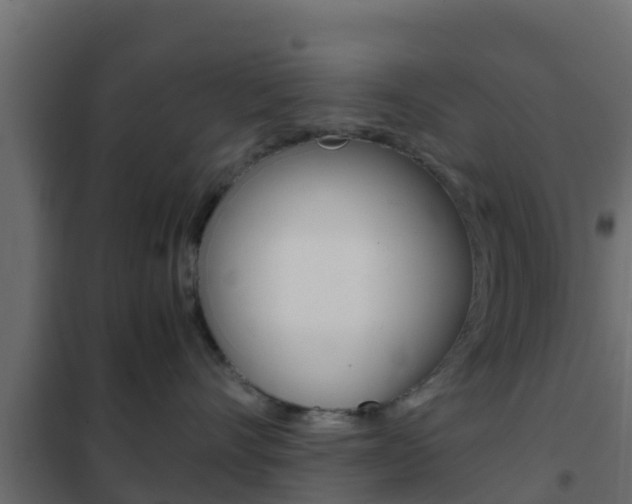 X0000102470528200808081012