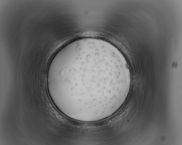 X0000102470529200808081011