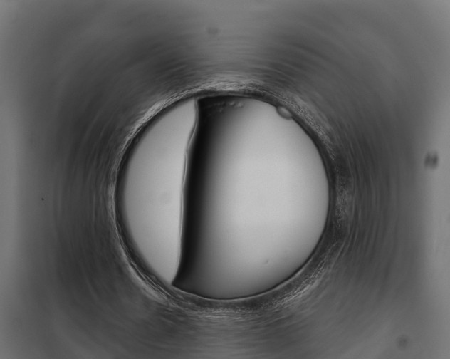 X0000102470530200808081011