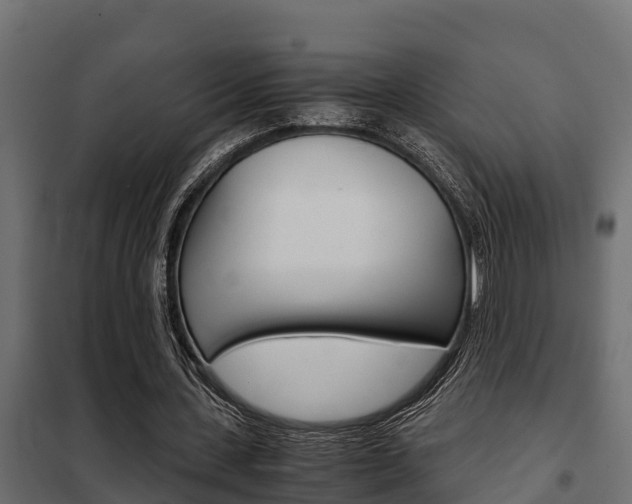 X0000102470531200808081011