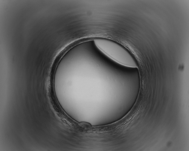 X0000102470532200808081011
