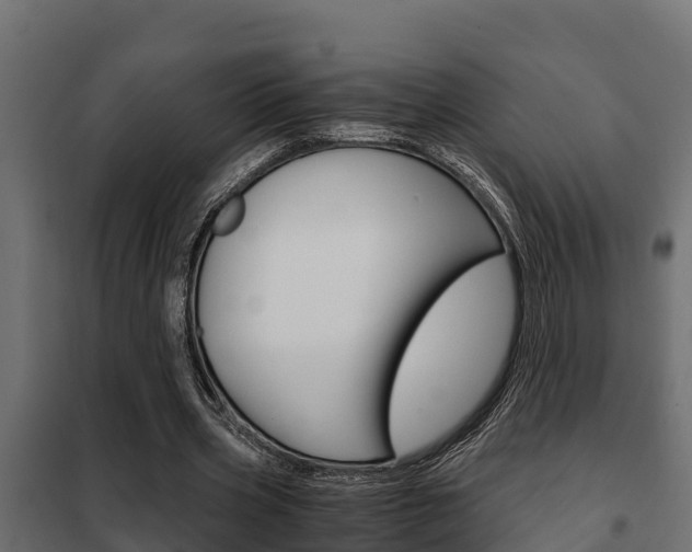 X0000102470533200808081011