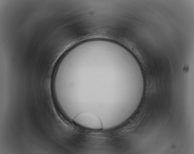 X0000102470534200808081011