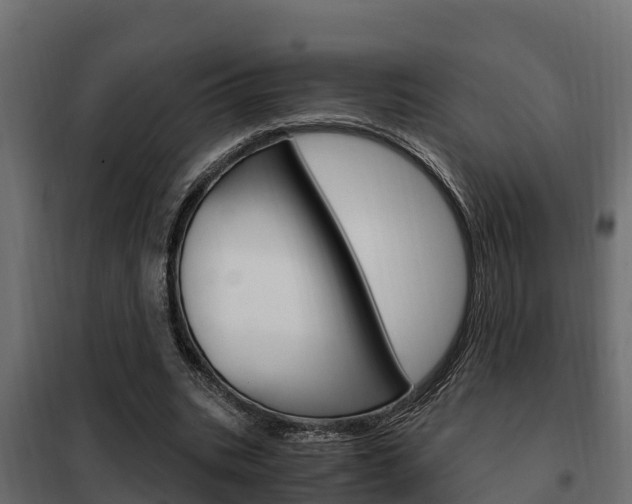 X0000102470535200808081011