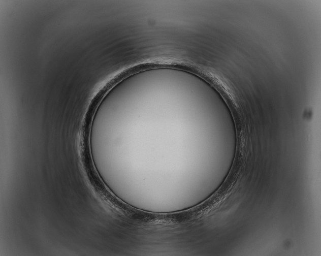 X0000102470536200808081011