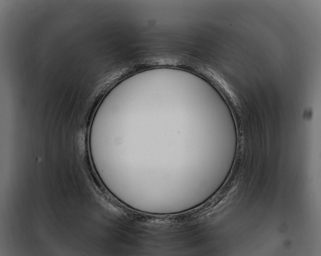 X0000102470537200808081011