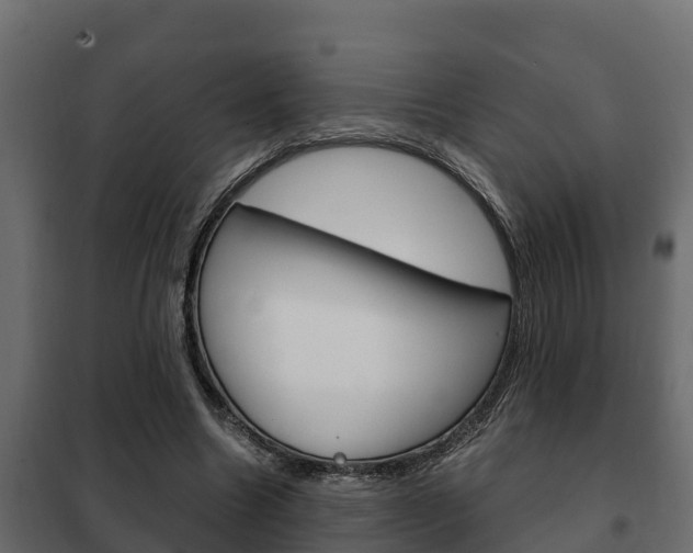 X0000102470538200808081012