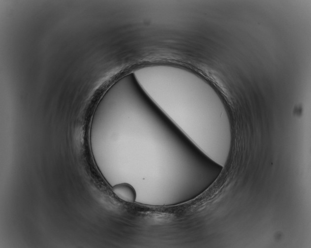 X0000102470539200808081012