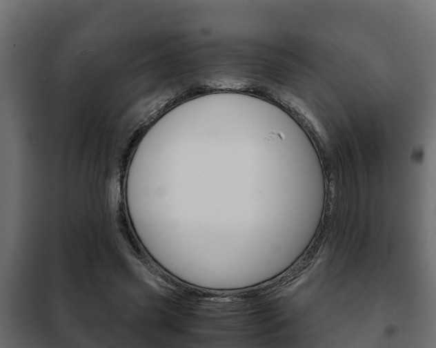 X0000102470541200808081012