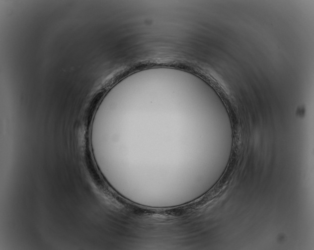 X0000102470542200808081012