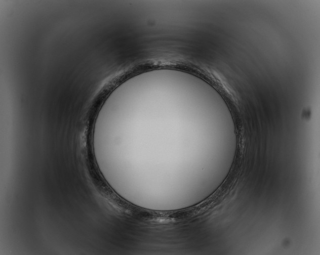 X0000102470543200808081012