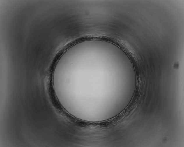 X0000102470544200808081012