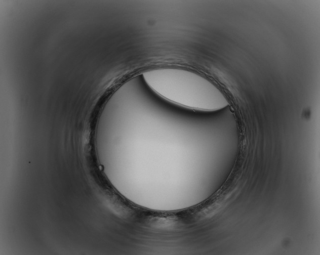 X0000102470548200808081012