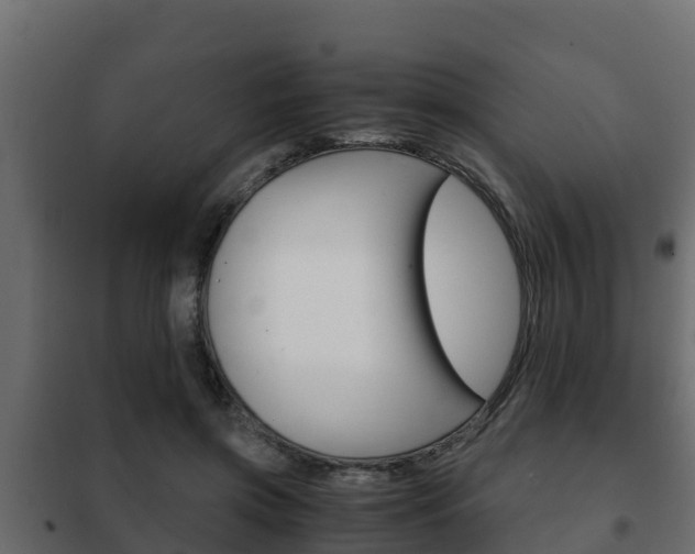 X0000102470549200808081012