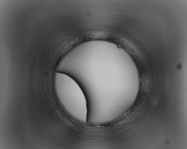X0000102470550200808081012