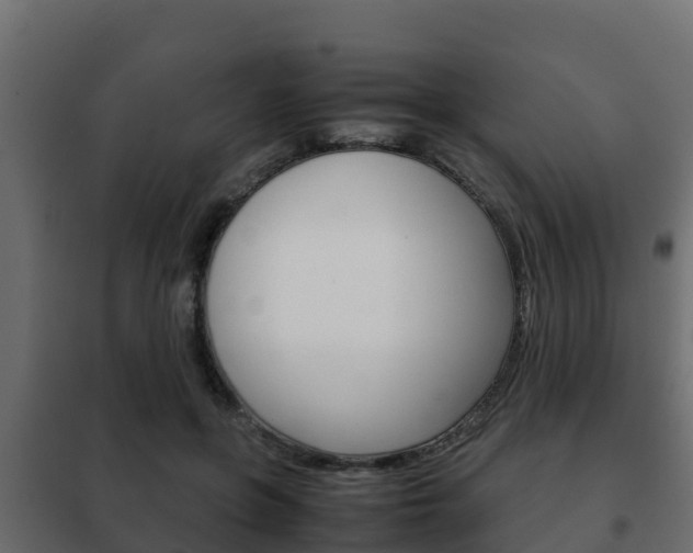 X0000102470551200808081012