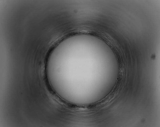 X0000102470552200808081012