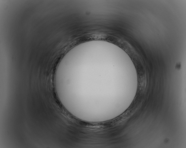 X0000102470553200808081012