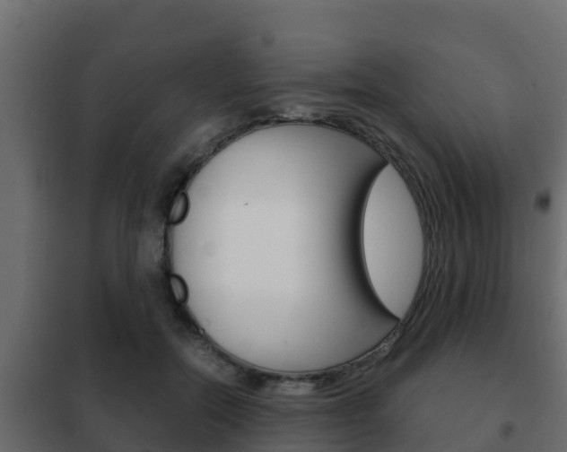 X0000102470554200808081012