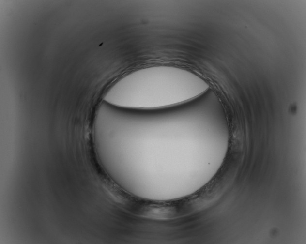 X0000102470555200808081012