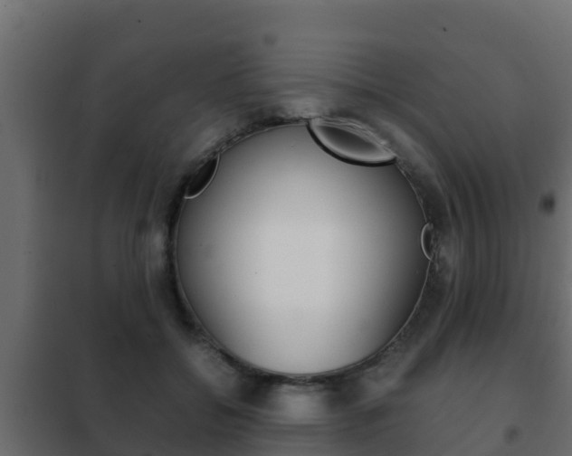 X0000102470556200808081012