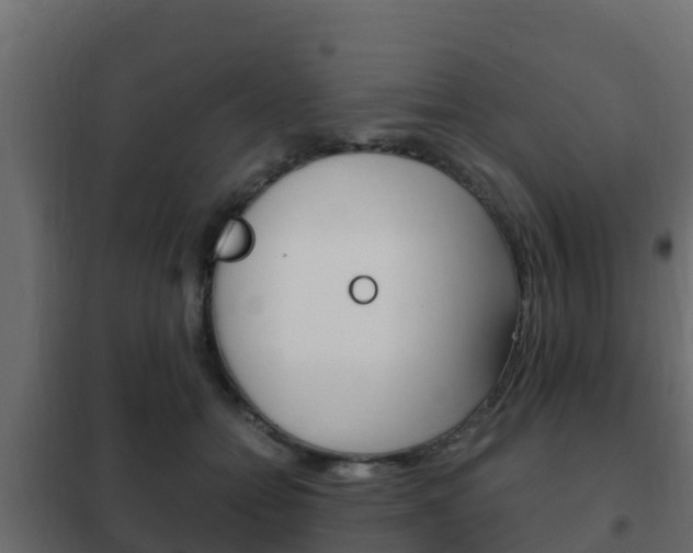X0000102470558200808081012
