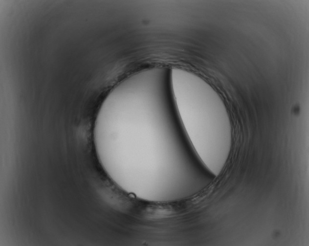 X0000102470559200808081012