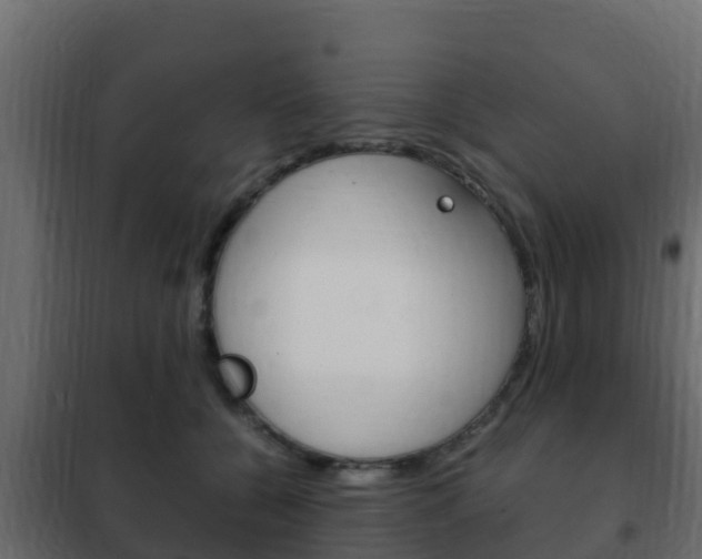 X0000102470560200808081012