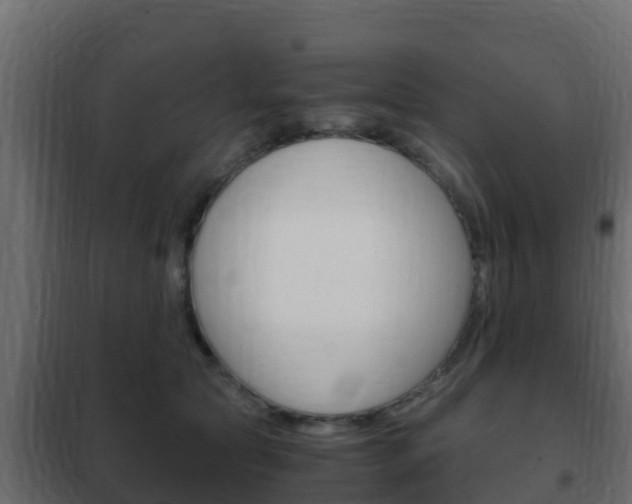 X0000102470561200808081012