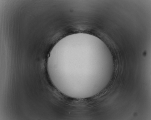 X0000102470563200808081012