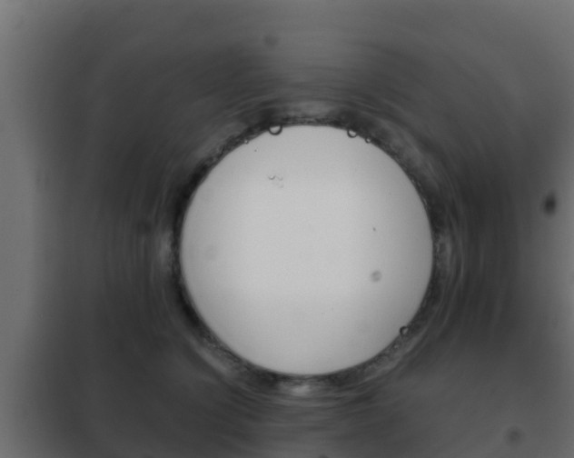 X0000102470564200808081012