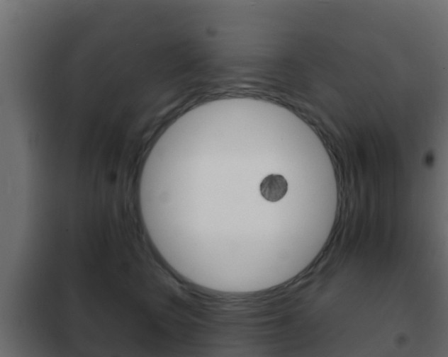 X0000102470566200808081012