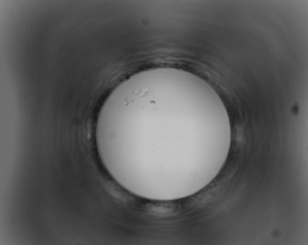 X0000102470567200808081012