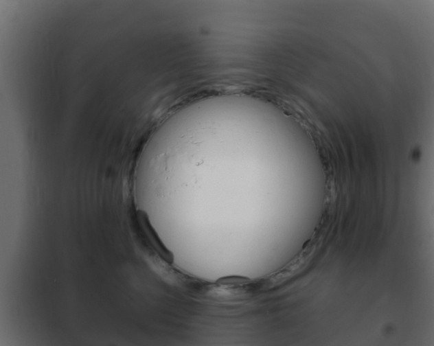 X0000102470568200808081012