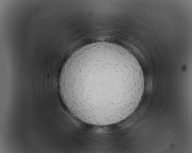 X0000102470569200808081012