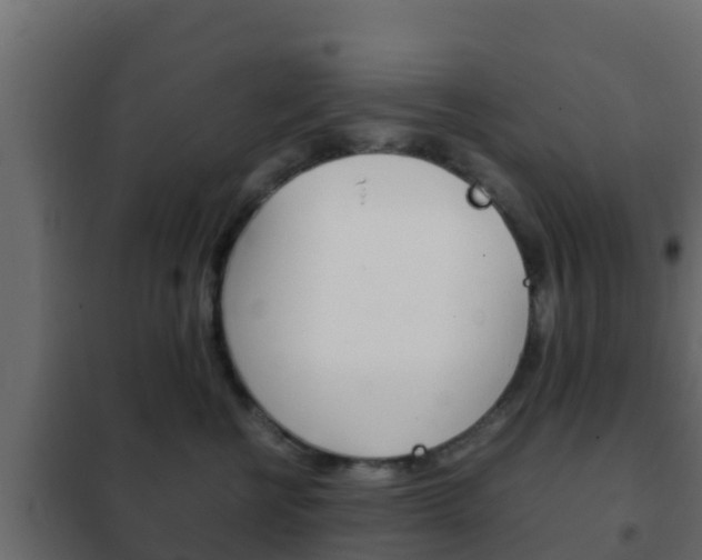 X0000102470570200808081012