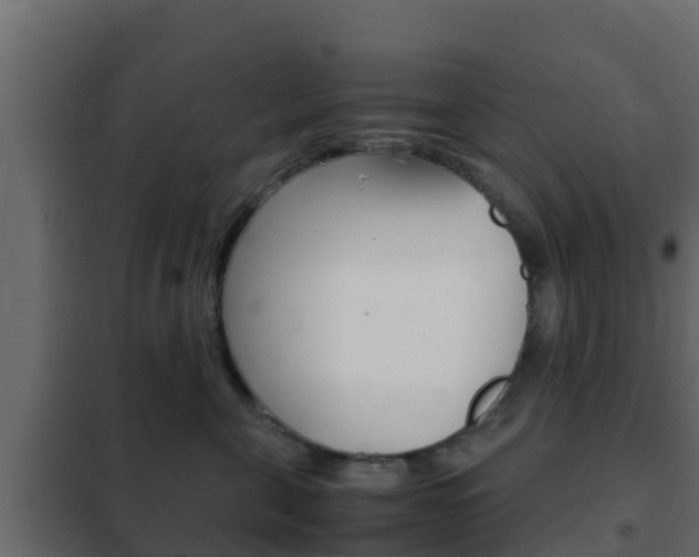 X0000102470571200808081012